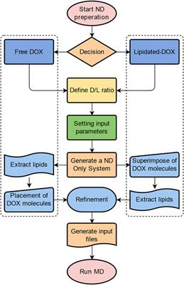 An in Silico Approach to Reveal the Nanodisc Formulation of Doxorubicin